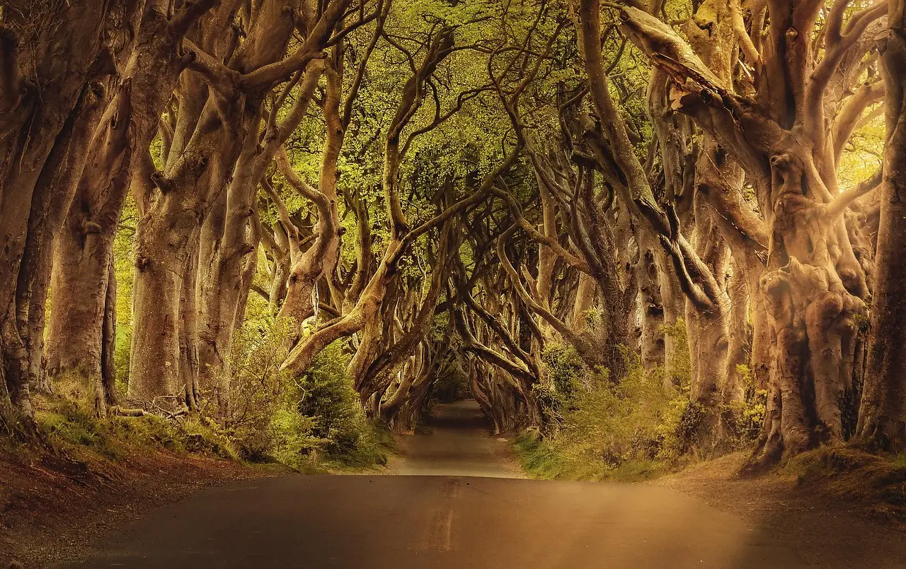 Can Ireland Turn Its Video-Game Tax Credit Into a Real Studio Economy? - CGMagazine
